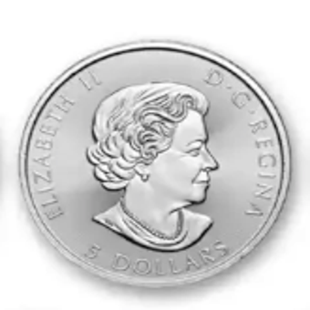 Silver Coin Product 2000